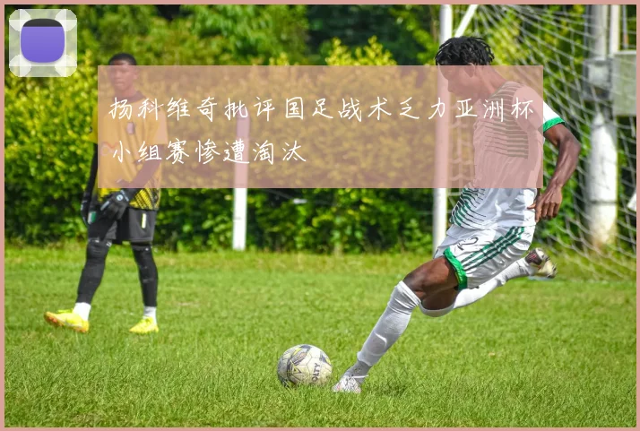 扬科维奇批评国足战术乏力亚洲杯小组赛惨遭淘汰