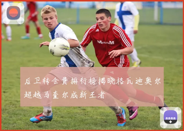 后卫转会费排行榜揭晓格瓦迪奥尔超越马奎尔成新王者